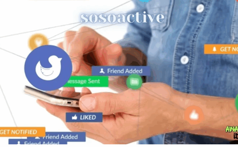 SosoActive SEO News