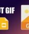 How to Upload GIFs to Google Pages Tumblr